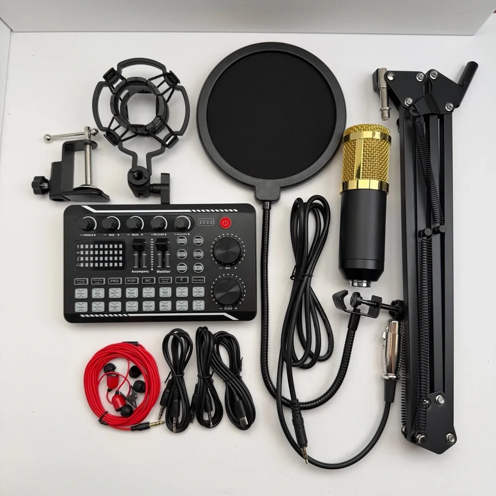 Professional Silver Condenser Microphone